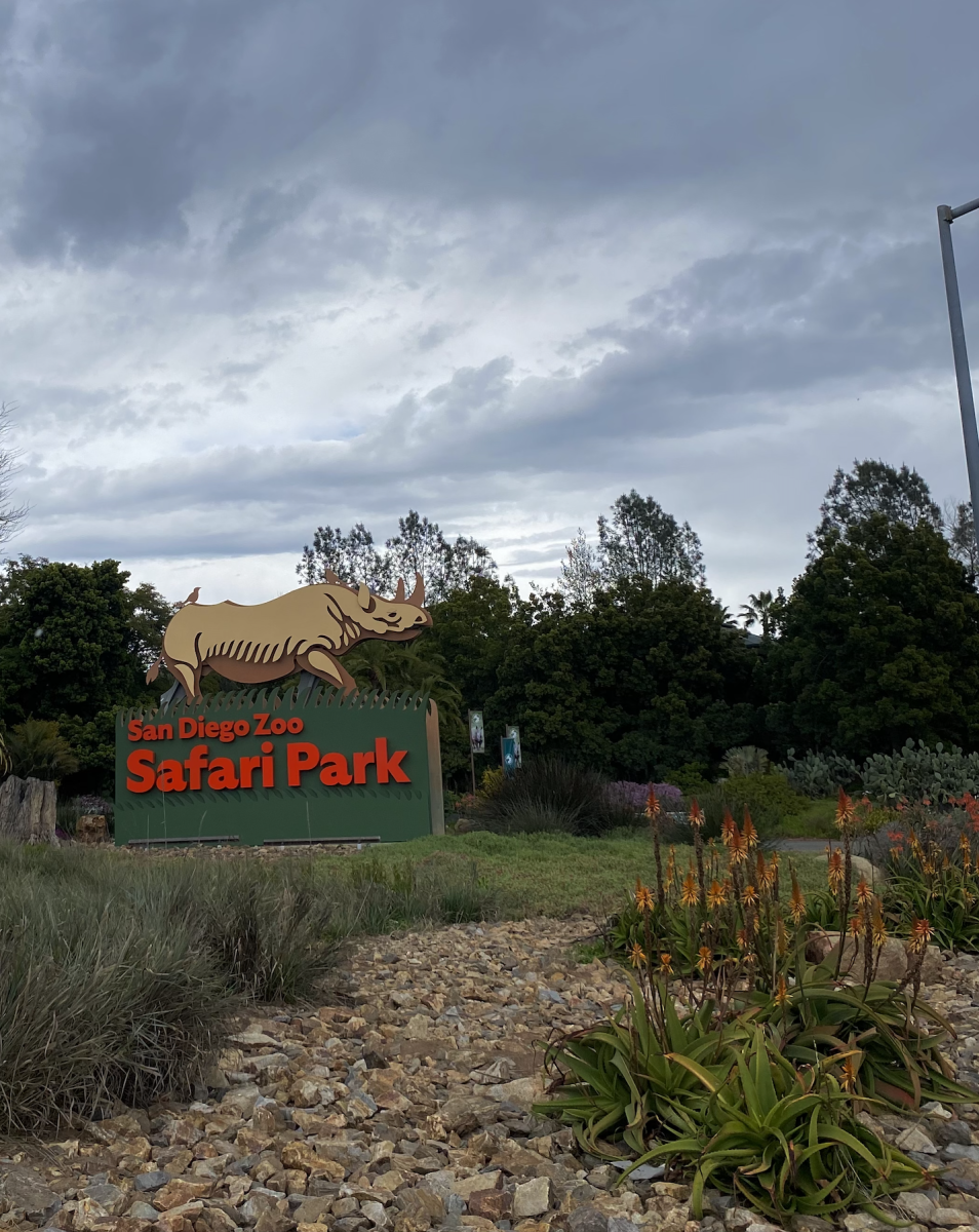 Safari Park Welcome Sign Photo credit: Monica Garcia